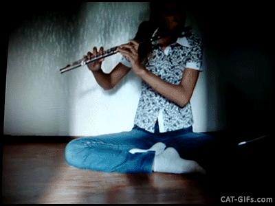 gif3558