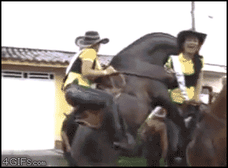 Horse-wants-cowgirl