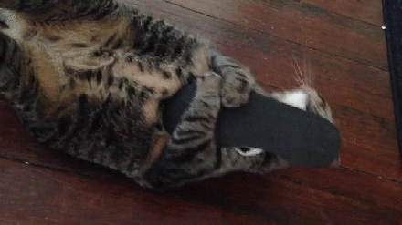 Буря чувств