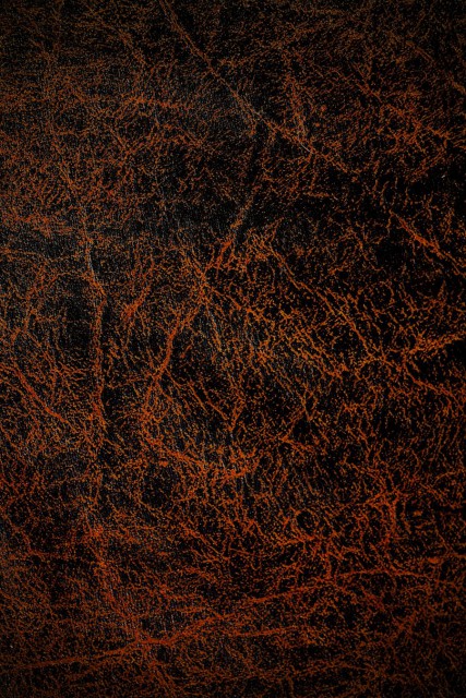 leather_texture347