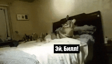 gif3573