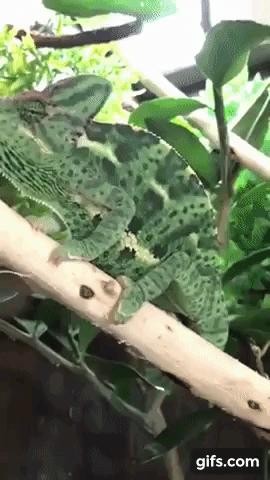 tmp_8cc00585d9842452a1ed85905622f2f6