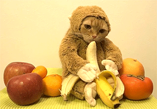 tumblr_oic1u8iIeb1qzhjh2o1_400