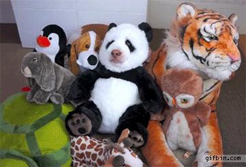 stuffed_panda_comes_to_life_maymo_the_beagle