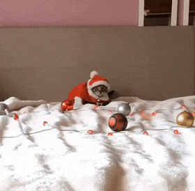 13705ed907f0b3134e549b24a586c7bd551a368cc59e66f51b239deb32d8b3f7_1