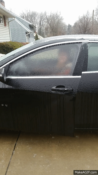 gif-борода-машина-автомобиль-3550583