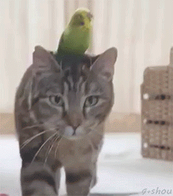 136e8b_7b81645db4ca4fbd8b152e97839b8732