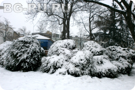 Погода в январе