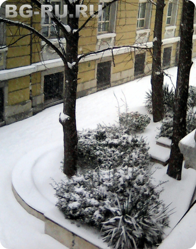 Погода в январе