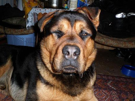SAM_0020_1