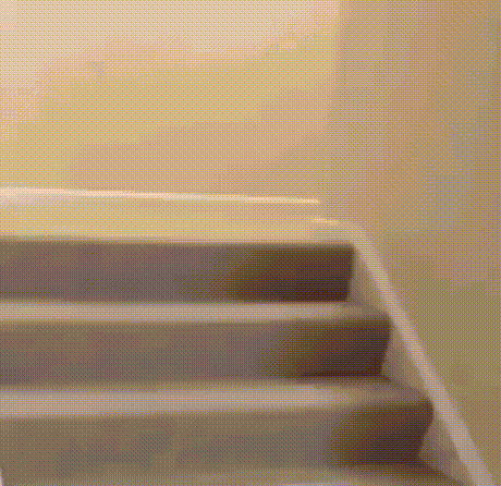 1485936227199940567