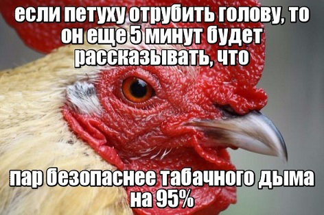 91062978_3e67ced6f782ffc2ba8e4c3f5734d758_800