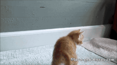 play-attack
