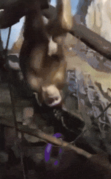 Как я рад это видеть