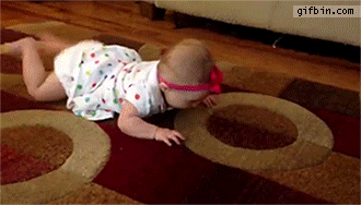 1423072608_dog_shows_baby_how_to_crawl