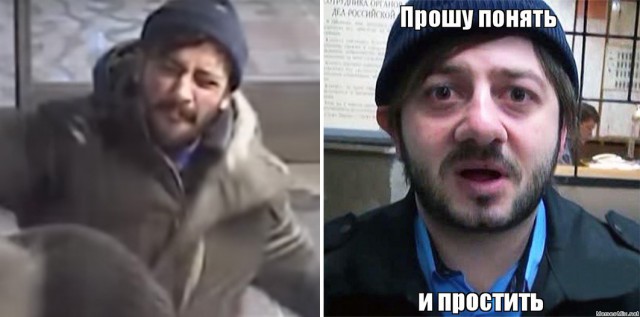 смешные коты фото понять и простить снимках голливудская