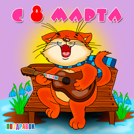 8-marta-kartinka-kot-gitara