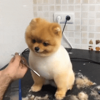 vk_com_gif_fak