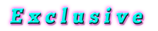 лого_exclusive