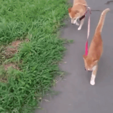 4c0a557a993e61184564e56c471948c49764641c3032a23ab08b130e8695ce3a_1