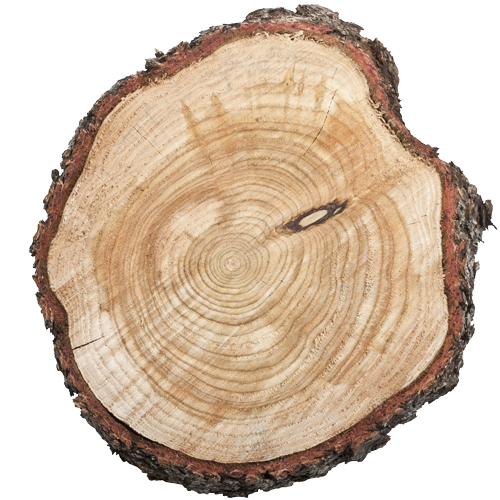 hout
