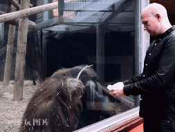 6bf072b93cd7d7497034eb96e36123c9