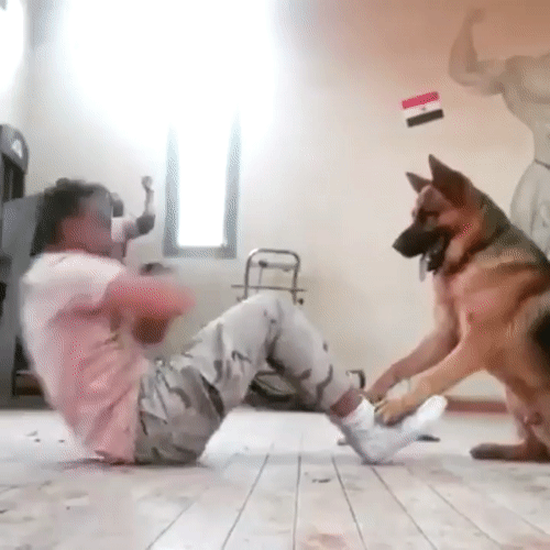 69c737f9440711a7dabbe204825