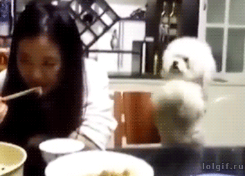 a4d4d5f8c84b0d69da8f941aaab