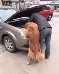 Помощник