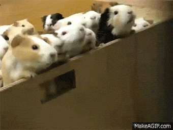 Скоро на границе с Польшей