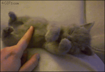 Хочется внимания