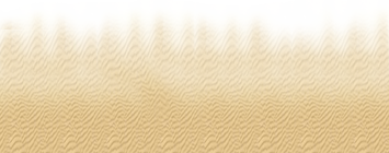 sand1++