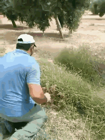 1441527961_296340833