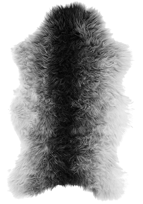 557e84b4b7e6751585b3fddce97b5c325