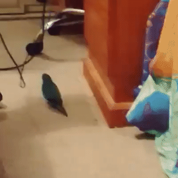 Не расчитал