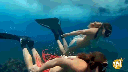 tumblr_mv5mbdKi4U1r2zyogo1_500