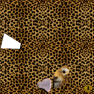 на кошку