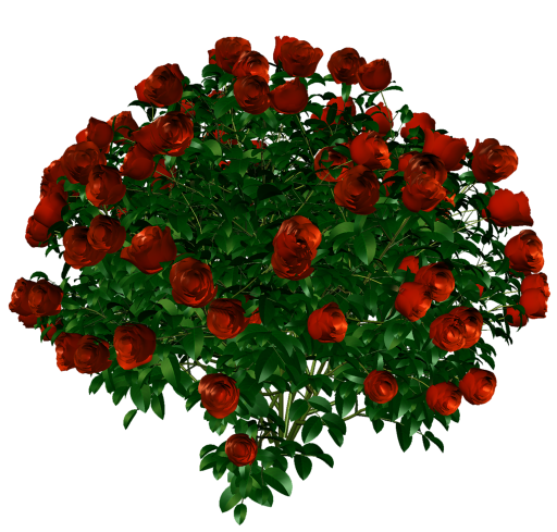 635b14b7ac6ba6e7fa407c5f21c85ff0