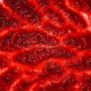 5398164-human-tissue-or-veins-on-a-red-background
