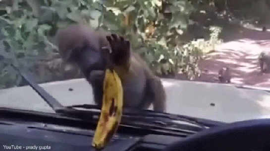 __banan