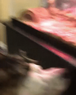 Не забудь покормить