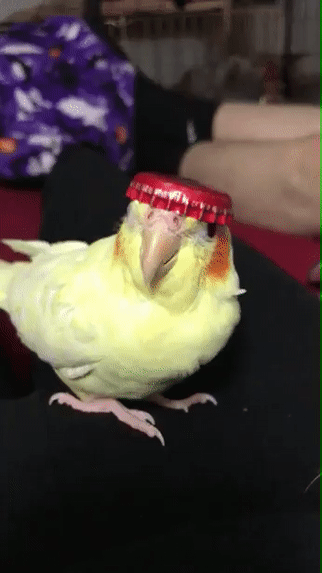 Бутылка пива