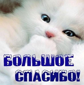3443479.469247рп