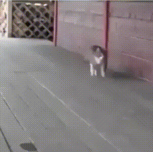 aDWeZv9_460sv-_online-video-cutter_com