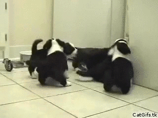 tumblr_omkyg1PP1L1t95h1uo1_400