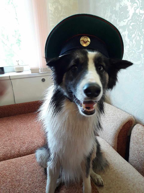 Бобс2