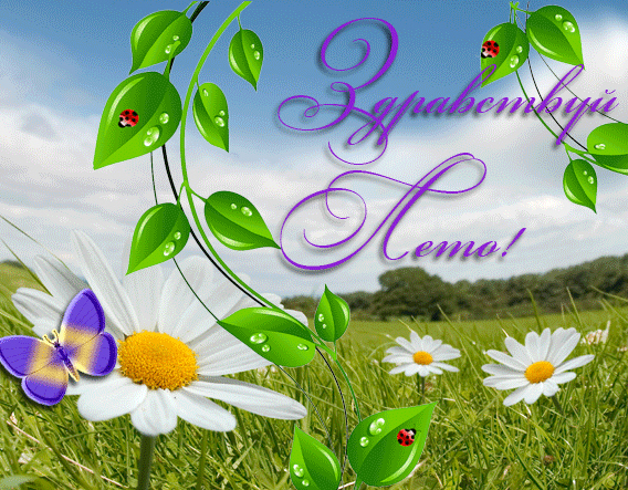 Первый день лета