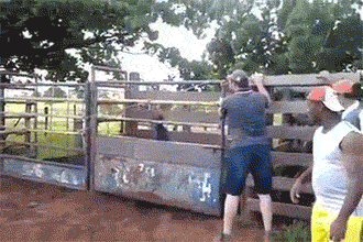 Ковбои тренируются