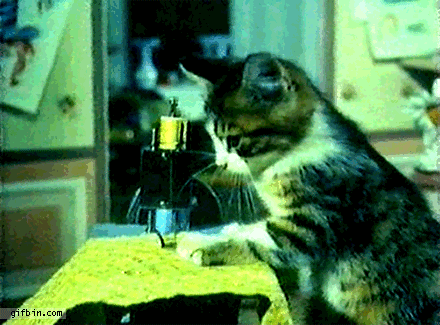 kitten_sewing_machine
