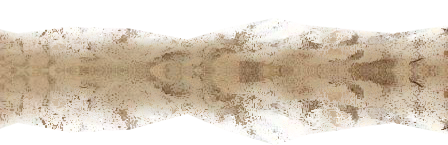 22222